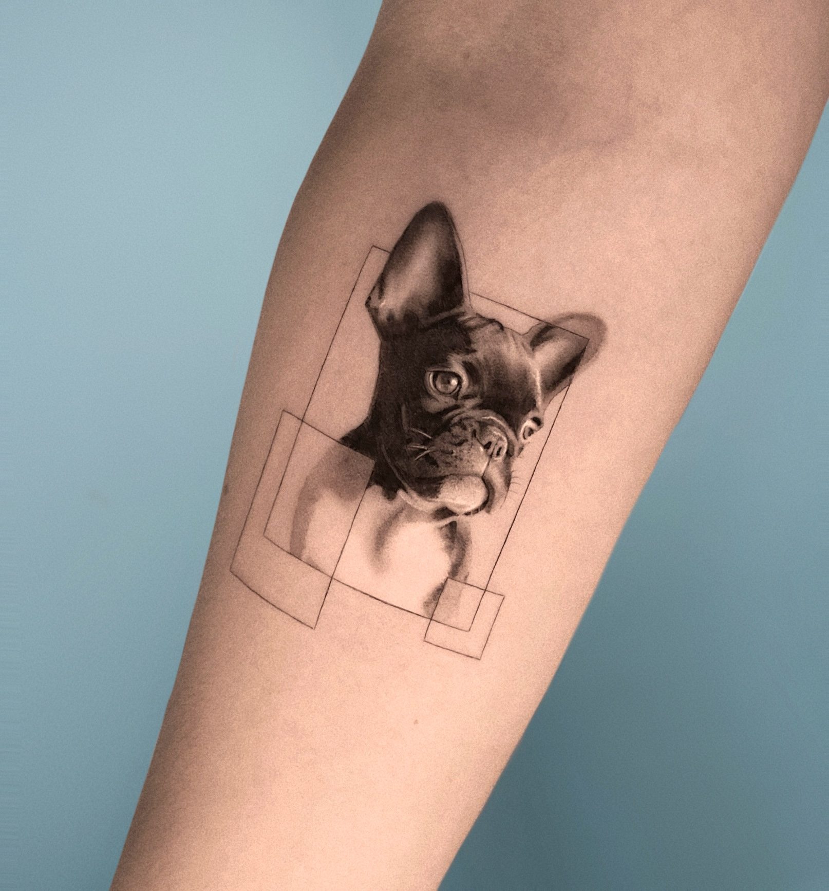 Retrato microrealista de bulldog francés con marco geométrico